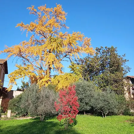 Terrasse Sur La Riviere רמולין
